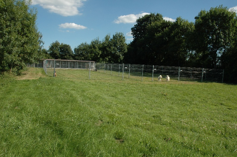 LA PENSION POUR CHIEN
